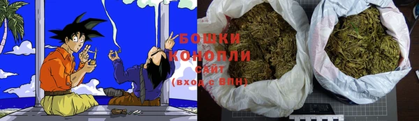 гашик Михайлов
