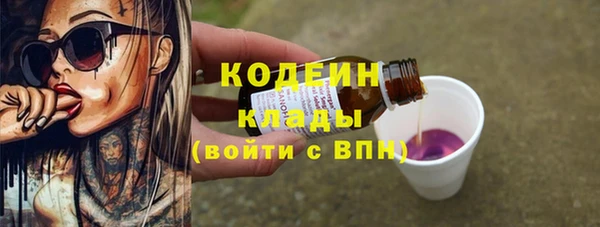 гашик Михайлов