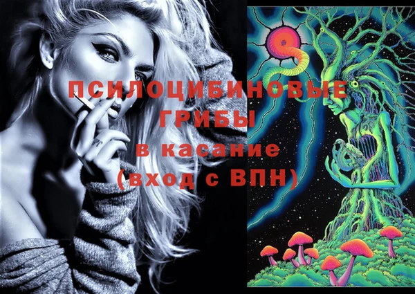 дживик Михайловск