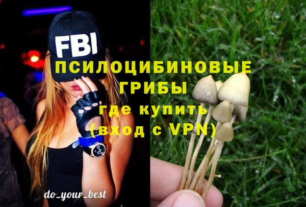 гашик Михайлов
